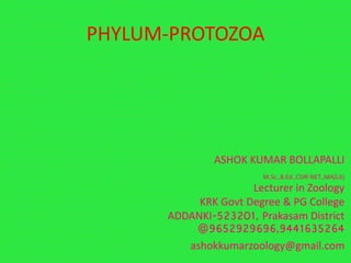 PHYLUM-PROTOZOA
ASHOK KUMAR BOLLAPALLI
M.Sc.,B.Ed.,CSIR-NET.,MA(Lit)
Lecturer in Zoology
KRK Govt Degree & PG College
ADDANKI-523201, Prakasam District
@9652929696,9441635264
ashokkumarzoology@gmail.com
 