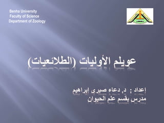 Benha University
Faculty of Science
Department of Zoology
 