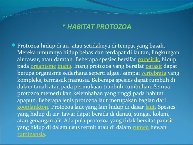 Protozoa Presentation
