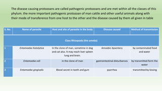 The disease causing protozoans are called pathogenic protozoans and are met within all the classes of this
phylum. the more important pathogenic protozoan of man cattle and other useful animals along with
their mode of transference from one host to the other and the disease caused by them all given in table
S. No. Name of parasite Host and site of parasite in the body Disease caused Method of transmission
Class Rhizopoda (the ameba)
1 Entamoeba histolytica In the clone of man, sometime in dog
and cat also. It may reach liver spleen
lung and brain.
Amoebic dysentery by contaminated food
and water
2 Entamoeba coli in the clone of man gastrointestinal disturbances by transmitted form the
water
3 Entamoeba gingivalis Blood secret in teeth and gum pyorrhea transmitted by kissing
 