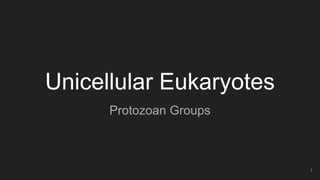 Unicellular Eukaryotes
Protozoan Groups
1
 
