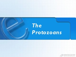 The
Protozoans
 