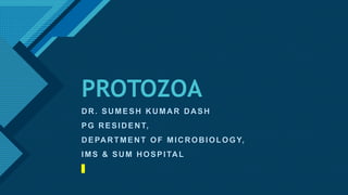 Click to edit Master title style
1
PROTOZOA
DR. SUMESH KUMAR DASH
PG RESIDENT,
DEPARTMENT OF MICROBIOLOGY,
IMS & SUM HOSPITAL
 