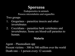 Sporozoa
               Endoparasites in animals
          Possess microtubules and organelles
Two groups
1. Gregarines – parasitize insects and other
   invertebrates
2. Coccidians – parasitize both vertebrates and
   invertebrates. Some are blood-cell parasites to
   human.
                      Malaria
Agent – Plasmodium spp
Present victims – 300 to 500 million over the world
Death rate – 1 person every 12 seconds
 