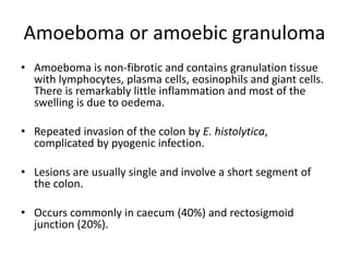 Amoeboma or amoebic granuloma
• Amoeboma is non-fibrotic and contains granulation tissue
with lymphocytes, plasma cells, eosinophils and giant cells.
There is remarkably little inflammation and most of the
swelling is due to oedema.
• Repeated invasion of the colon by E. histolytica,
complicated by pyogenic infection.
• Lesions are usually single and involve a short segment of
the colon.
• Occurs commonly in caecum (40%) and rectosigmoid
junction (20%).
 