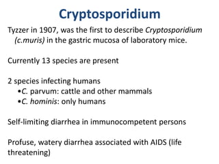 Cryptosporidium
Tyzzer in 1907, was the first to describe Cryptosporidium
(c.muris) in the gastric mucosa of laboratory mice.
Currently 13 species are present
2 species infecting humans
•C. parvum: cattle and other mammals
•C. hominis: only humans
Self-limiting diarrhea in immunocompetent persons
Profuse, watery diarrhea associated with AIDS (life
threatening)
 