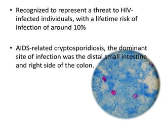 • Recognized to represent a threat to HIV-
infected individuals, with a lifetime risk of
infection of around 10%
• AIDS-related cryptosporidiosis, the dominant
site of infection was the distal small intestine
and right side of the colon.
 