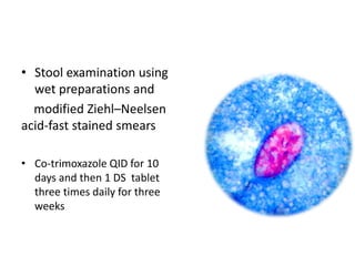 • Stool examination using
wet preparations and
modified Ziehl–Neelsen
acid-fast stained smears
• Co-trimoxazole QID for 10
days and then 1 DS tablet
three times daily for three
weeks
 