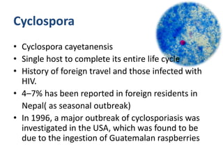 Cyclospora
• Cyclospora cayetanensis
• Single host to complete its entire life cycle
• History of foreign travel and those infected with
HIV.
• 4–7% has been reported in foreign residents in
Nepal( as seasonal outbreak)
• In 1996, a major outbreak of cyclosporiasis was
investigated in the USA, which was found to be
due to the ingestion of Guatemalan raspberries
 