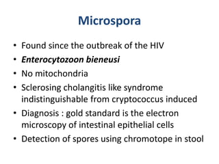 Microspora
• Found since the outbreak of the HIV
• Enterocytozoon bieneusi
• No mitochondria
• Sclerosing cholangitis like syndrome
indistinguishable from cryptococcus induced
• Diagnosis : gold standard is the electron
microscopy of intestinal epithelial cells
• Detection of spores using chromotope in stool
 