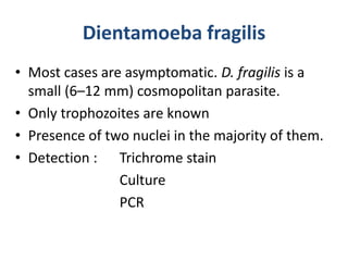 Dientamoeba fragilis
• Most cases are asymptomatic. D. fragilis is a
small (6–12 mm) cosmopolitan parasite.
• Only trophozoites are known
• Presence of two nuclei in the majority of them.
• Detection : Trichrome stain
Culture
PCR
 