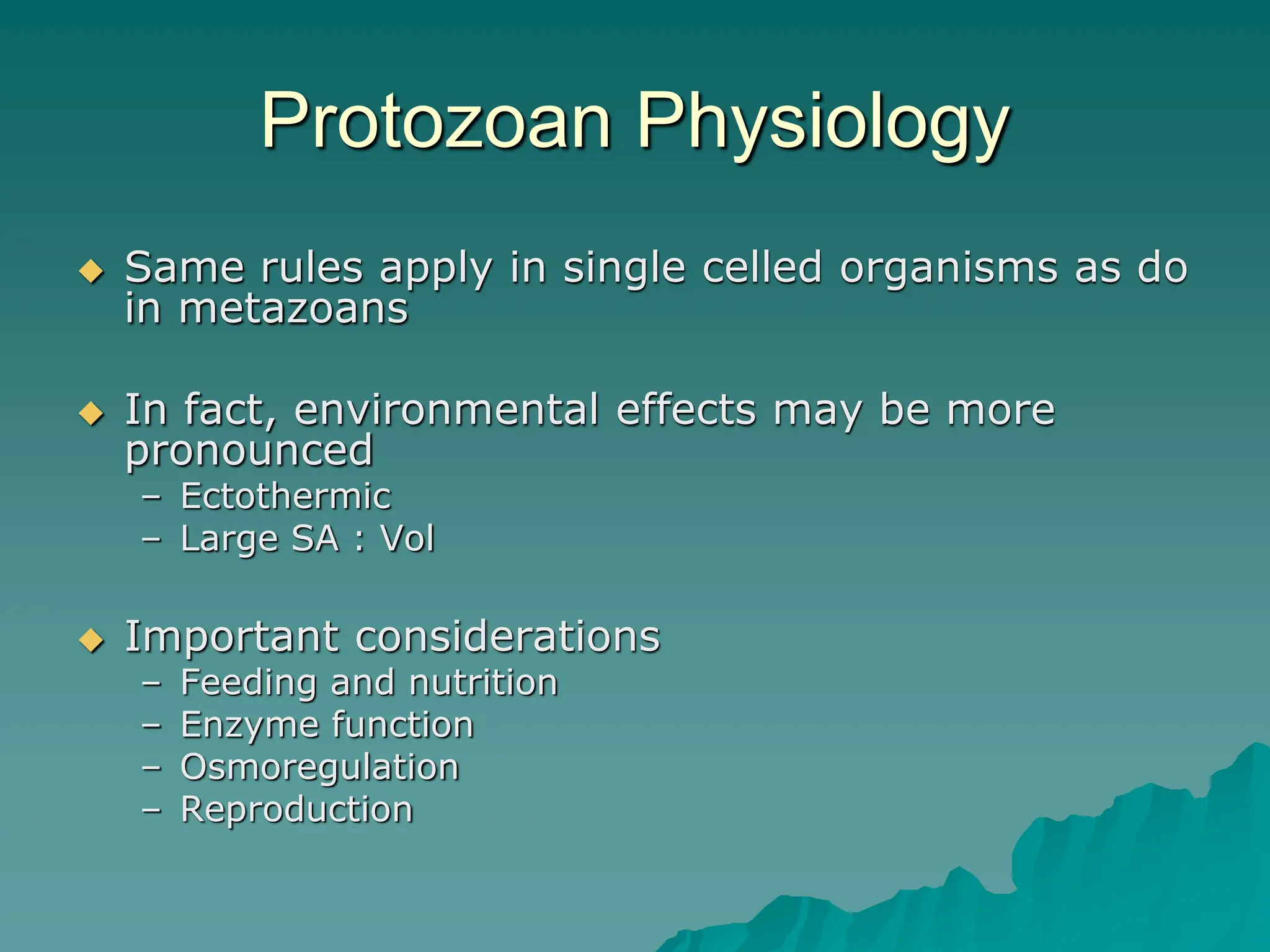 Protozoan Physiology
 Same rules apply in single celled organisms as do
in metazoans
 In fact, environmental effects may be more
pronounced
– Ectothermic
– Large SA : Vol
 Important considerations
– Feeding and nutrition
– Enzyme function
– Osmoregulation
– Reproduction
 