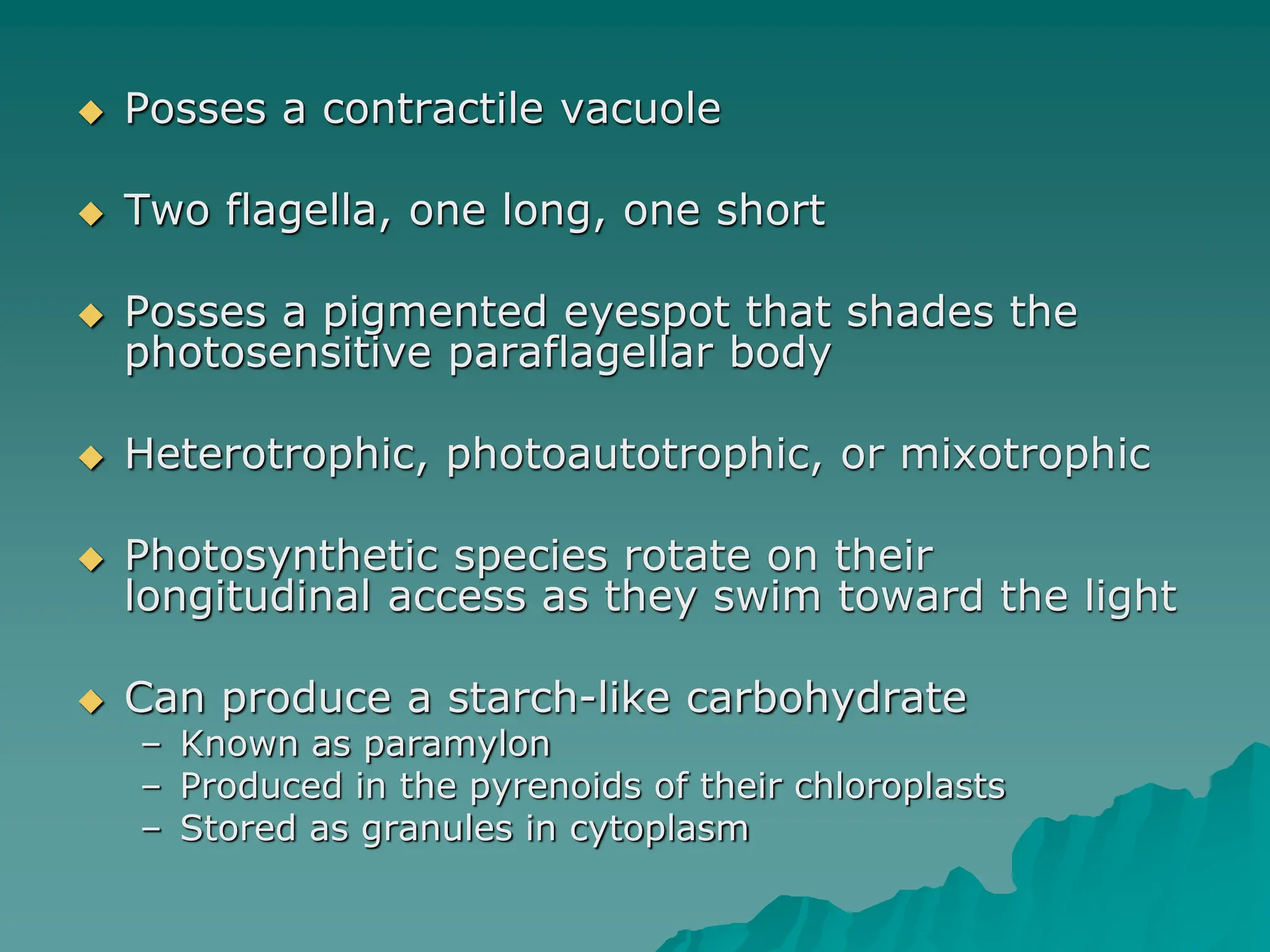  Posses a contractile vacuole
 Two flagella, one long, one short
 Posses a pigmented eyespot that shades the
photosensitive paraflagellar body
 Heterotrophic, photoautotrophic, or mixotrophic
 Photosynthetic species rotate on their
longitudinal access as they swim toward the light
 Can produce a starch-like carbohydrate
– Known as paramylon
– Produced in the pyrenoids of their chloroplasts
– Stored as granules in cytoplasm
 