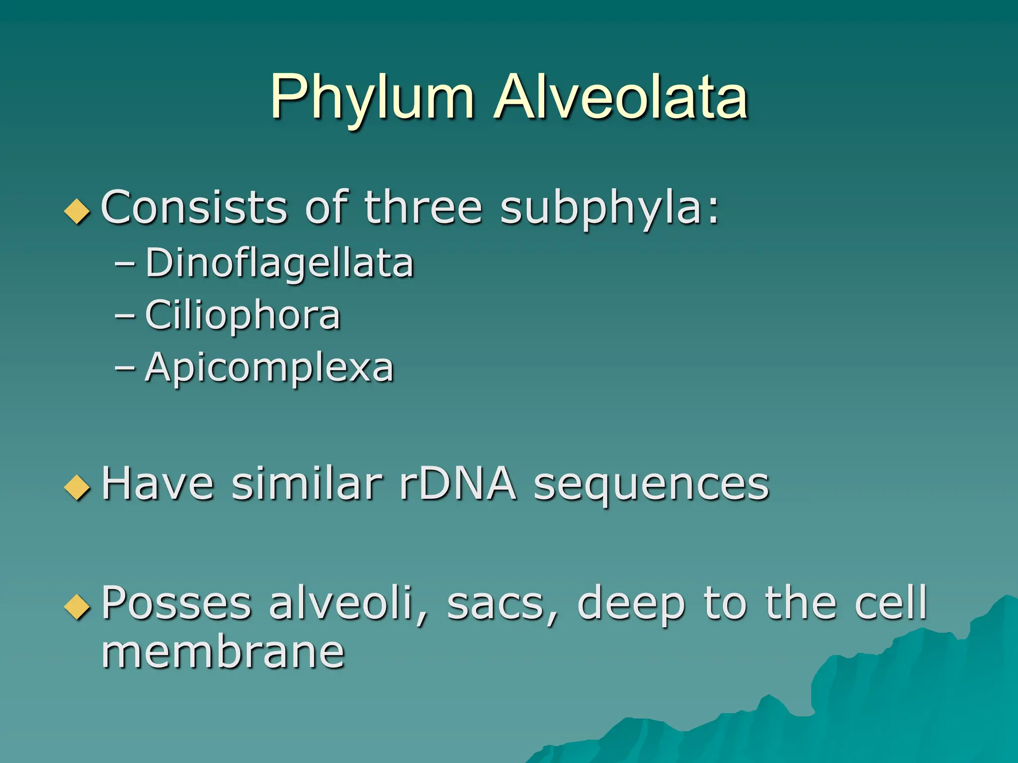 Phylum Alveolata
 Consists of three subphyla:
– Dinoflagellata
– Ciliophora
– Apicomplexa
 Have similar rDNA sequences
 Posses alveoli, sacs, deep to the cell
membrane
 