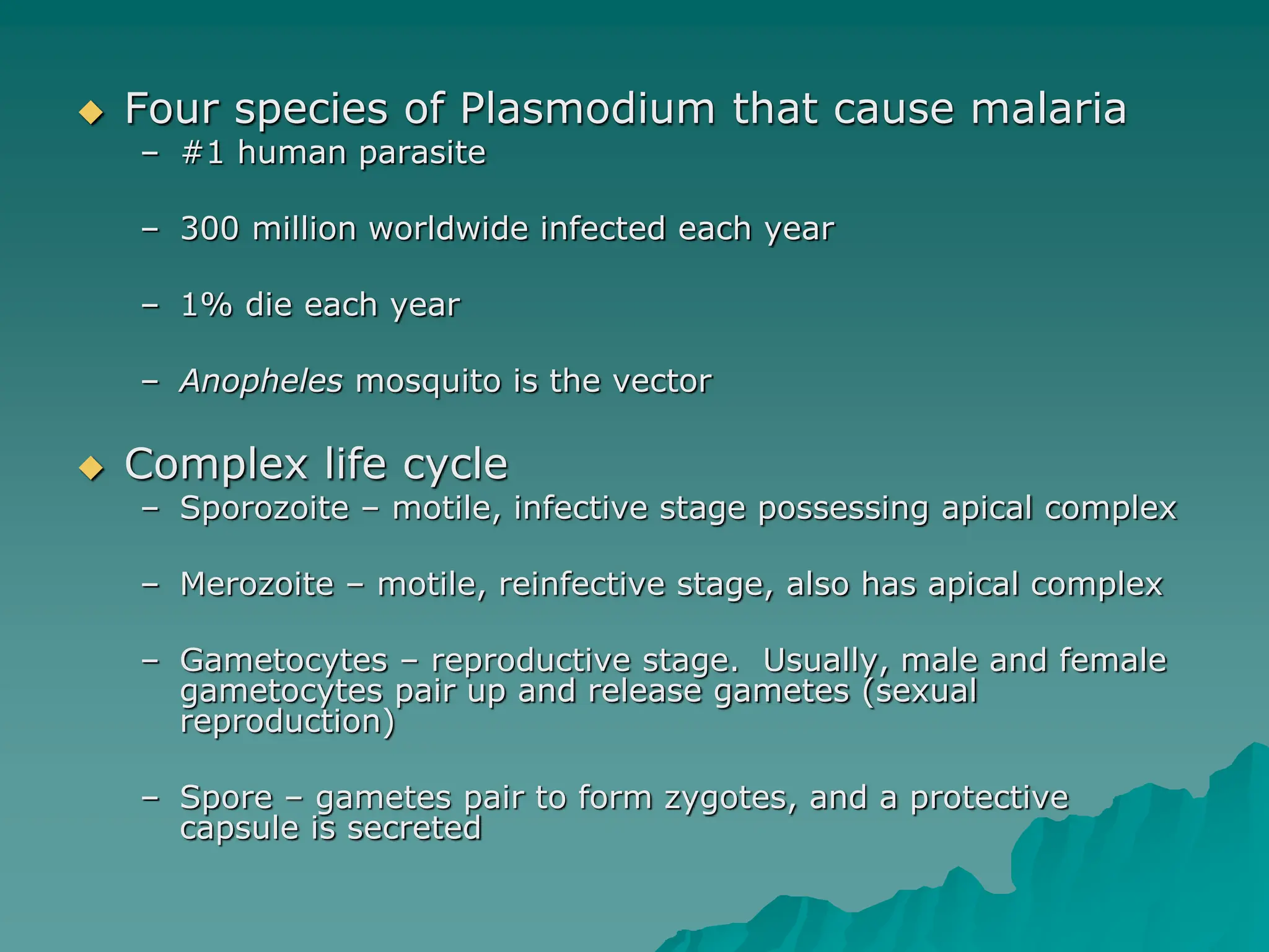  Four species of Plasmodium that cause malaria
– #1 human parasite
– 300 million worldwide infected each year
– 1% die each year
– Anopheles mosquito is the vector
 Complex life cycle
– Sporozoite – motile, infective stage possessing apical complex
– Merozoite – motile, reinfective stage, also has apical complex
– Gametocytes – reproductive stage. Usually, male and female
gametocytes pair up and release gametes (sexual
reproduction)
– Spore – gametes pair to form zygotes, and a protective
capsule is secreted
 