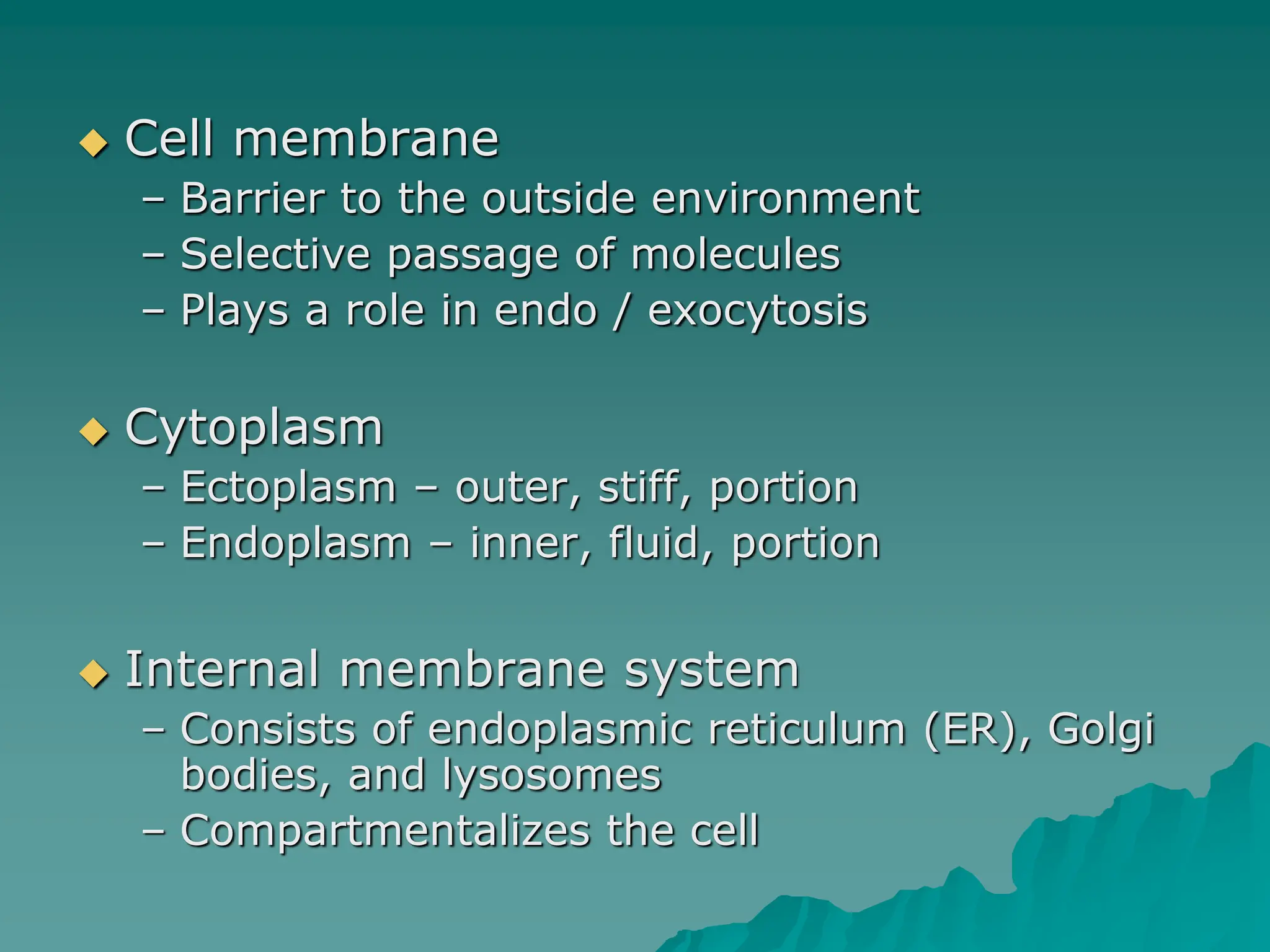  Cell membrane
– Barrier to the outside environment
– Selective passage of molecules
– Plays a role in endo / exocytosis
 Cytoplasm
– Ectoplasm – outer, stiff, portion
– Endoplasm – inner, fluid, portion
 Internal membrane system
– Consists of endoplasmic reticulum (ER), Golgi
bodies, and lysosomes
– Compartmentalizes the cell
 