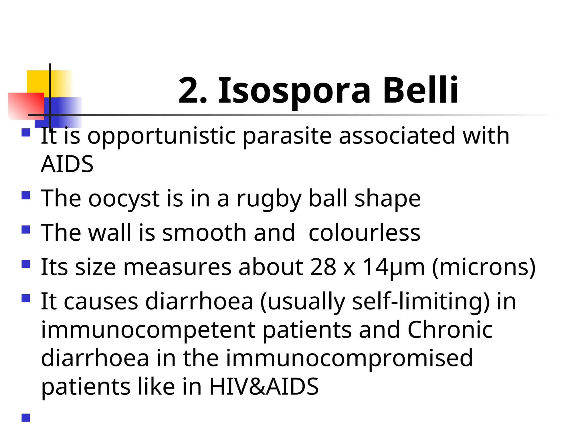 Protozoa Lecture Notes.ppt presentation PPT