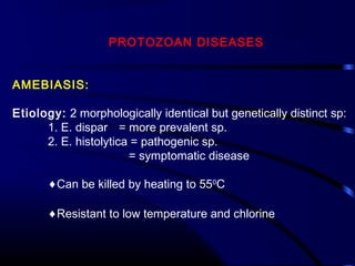 PROTOZOAN DISEASES
AMEBIASIS:
Etiology: 2 morphologically identical but genetically distinct sp:
1. E. dispar = more prevalent sp.
2. E. histolytica = pathogenic sp.
= symptomatic disease
♦Can be killed by heating to 550
C
♦Resistant to low temperature and chlorine
 