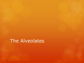 The Alveolates
 