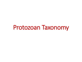 Protozoan Taxonomy
 