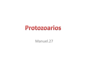 Protozoarios   ,[object Object],Manuel.27 ,[object Object]