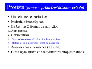 Protista  ( protos=  primeiro/ ktistos= criado) Unicelulares eucarióticos Maioria microscópicos Exibem as 2 formas de nutrição: Autótroficos Heterótroficos Saprozóicos ou osmótrofos - implica pinocitose Holozóicos ou fagótrofos - implica fagocitose Anaeróbicos e aeróbicos (difusão) Circulação através de movimentos citoplasmáticos 