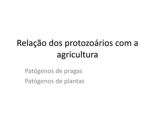 Relação dos protozoários com a agricultura Patógenos de pragas Patógenos de plantas 