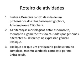 Roteiro de atividades Ilustre e Descreva o ciclo de vida de um protozoários dos filos Sarcomastigophora, Apicomplexa e Ciliophara. As diferenças morfológicas entre esporozoíto, merozoíto e gametócitos são causadas por genomas diferentes ou diferença na expressão gênica? Explique. Explique por que um protozoário pode ser muito complexo, mesmo sendo ele composto por ma única célula. 