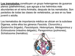 Los trematodos constituyen un grupo heterogeneo de gusanos
planos (plathelmintos), que agrupa a los helmintos más
abundantes en el reino Animalia, después de los nematodos. Son
parásitos de todas las clases de vertebrados, ya sea en su fase
juvenil o adulta.

Los trematodos de importancia médica se ubican en la subclase
Digenea, entre ellos los géneros Fasciola, Clonorchis y
Epistorchis (hígado), Fasciolopsis, Heterophyes, Metagonimus y
Echinostoma (intestino delgado), Paragonimus (pulmones),
Schistosoma (hemático).
 