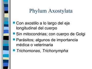 Phylum Axostylata
 Con axostilo a lo largo del eje
longitudinal del cuerpo
 Sin mitocondrias; con cuerpo de Golgi
 Parásitos; algunos de importancia
médica o veterinaria
 Trichomonas, Trichonympha
 