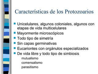 Características de los Protozoarios
 Unicelulares, algunos coloniales, algunos con
etapas de vida multicelulares
 Mayormente microscópicos
 Todo tipo de simetría
 Sin capas germinativas
 Eucariontes con orgánulos especializados
 De vida libre y todo tipo de simbiosis
mutualismo
comensalismo
parasitismo
 