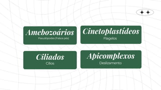 Pseudópodes (Falsos pés)
Amebozoários
Flagelos
Cinetoplastídeos
Cílios
Ciliados
Deslizamento
Apicomplexos
 