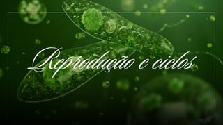 Reprodução e ciclos
 