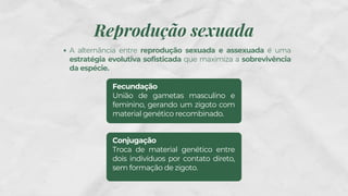 Fecundação
União de gametas masculino e
feminino, gerando um zigoto com
material genético recombinado.
Reprodução sexuada
A alternância entre reprodução sexuada e assexuada é uma
estratégia evolutiva sofisticada que maximiza a sobrevivência
da espécie.
Conjugação
Troca de material genético entre
dois indivíduos por contato direto,
sem formação de zigoto.
 