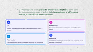 O Plasmodium é um parasita altamente adaptado, com ciclo
de vida complexo que envolve dois hospedeiros e diferentes
formas, o que dificulta seu combate.
 