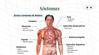 Sintomas
 