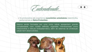 Os protozoários são organismos eucariontes unicelulares, heterótrofos,
pertencentes ao Reino Protoctista
Mesmo sendo formados por uma única célula, apresentam grande
complexidade, com núcleo definido, organelas membranosas como
mitocôndrias e retículo endoplasmático, além de sistemas de sinalização
celular bem desenvolvidos.
Entendendo...
 