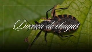 Doença de chagas
Protozooses:
 