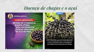 Doença de chagas e o açaí
 