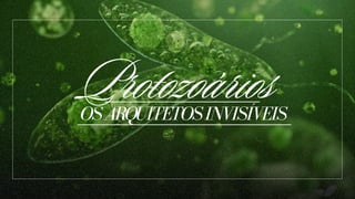 OSARQUITETOSINVISÍVEIS
OSARQUITETOSINVISÍVEIS
Protozoários
 