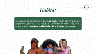 A maioria das espécies é de vida livre, habitando ambientes
aquáticos (mares, rios, lagos) e terrestres úmidos. Algumas
espécies são parasitas obrigatórios de animais e humanos.
Habitat
 