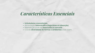 Características Essenciais
Unicelulares e eucariontes
Alimentação heterotrófica (fagocitose ou absorção)
Reprodução pode ser assexuada ou sexuada
Grande diversidade de formas e ambientes onde vivem
 