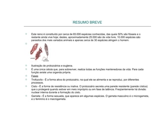 RESUMO BREVE
 Este reino é constituído por cerca de 65.000 espécies conhecidas, das quais 50% são fósseis e o
restante ainda vive hoje; destes, aproximadamente 25.000 são de vida livre, 10.000 espécies são
parasitos dos mais variados animais e apenas cerca de 30 espécies atingem o homem.

 Ilustração de protozoários e euglena.
 É uma única célula que, para sobreviver, realiza todas as funções mantenedoras da vida. Para cada
função existe uma organda própria.
 Fases
 Trofozoíto - É a forma ativa do protozoário, na qual ele se alimenta e se reproduz, por diferentes
processos.
 Cisto - É a forma de resistência ou inativa. O protozoário secreta uma parede resistente (parede cística)
que o protegerá quando estiver em meio impróprio ou em fase de latência. Freqüentemente há divisão
nuclear interna durante a formação do cisto.
 Gameta - É a forma sexuada, que aparece em algumas espécies. O gameta masculino é o microgameta,
e o feminino é o macrogameta.
 