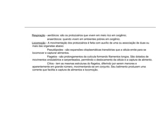 Respiração - aeróbicos: são os protozoários que vivem em meio rico em oxigênio;
anaeróbicos: quando vivem em ambientes pobres em oxigênio;
Locomoção - A movimentação dos protozoários é feita com auxílio de uma ou associação de duas ou
mais das organelas abaixo:
Pseudópodes - são expansões citoplasmáticas transitórias que a célula emite para se
locomover e capturar alimentos.
Flagelos - são prolongamentos da cutícula formando filamentos longos. São dotados de
movimentos ondulatórios e serpenteados, permitindo o deslocamento da célula e a captura de alimento.
Cílios - tem as mesmas estruturas do flagelos, diferindo por serem menores e
aparentemente em grande número, movimentando-se em conjunto. Seu batimento produzem uma
corrente que facilita e captura de alimentos e locomoção.
 