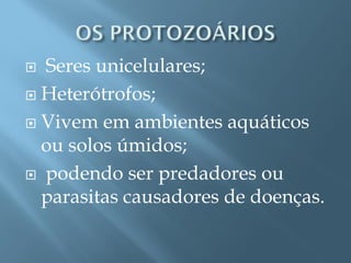  Seres unicelulares;
 Heterótrofos;

 Vivem em ambientes aquáticos
  ou solos úmidos;
 podendo ser predadores ou
  parasitas causadores de doenças.
 