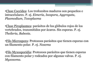 •Clase Coccidea: Los trofozoitos maduros son pequeños e
intracelulares. P. ej. Eimeria, Isospora, Aggregata,
Plasmodium, Toxoplasma
•Clase Piroplasmea: parásitos de los glóbulos rojos de los
vertebrados, transmitidos por ácaros. Sin esporas. P. ej.
Theileria, Babesia.
•Filo Microspora: Protozoos parásitos que tienen esporas con
un filamento polar. P. ej. Nosema
•Filo Myxosporidia: Protozoos parásitos que tienen esporas
con filamento polar y rodeados por algunas valvas. P. ej.
Myxosoma.
 
