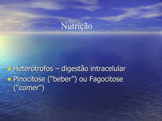 Heterótrofos – digestão intracelular Pinocitose (“beber”) ou Fagocitose (“comer”)  Nutrição 