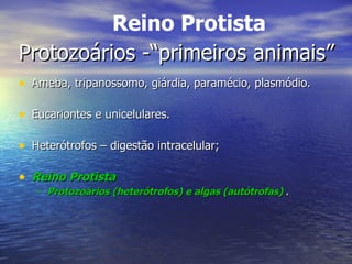 Protozoários -“primeiros animais” Ameba, tripanossomo, giárdia, paramécio, plasmódio. Eucariontes e unicelulares. Heterótrofos – digestão intracelular; Reino Protista  Protozoários (heterótrofos) e algas (autótrofas)  . Reino Protista 