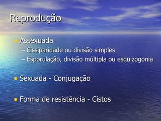 Reprodução Assexuada  Cissiparidade ou divisão simples Esporulação, divisão múltipla ou esquizogonia Sexuada - Conjugação  Forma de resistência - Cistos 