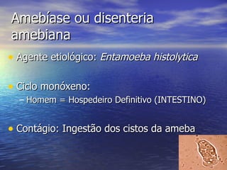Amebíase ou disenteria amebiana Agente etiológico:  Entamoeba histolytica   Ciclo monóxeno:  Homem = Hospedeiro Definitivo (INTESTINO) Contágio: Ingestão dos cistos da ameba 